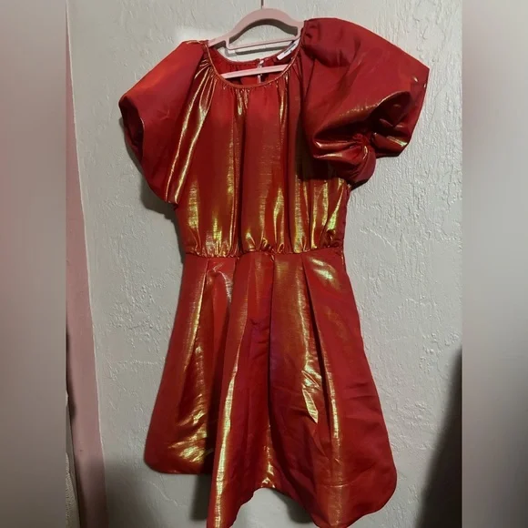 Christopher John Rogers Puffy Statement Dress w/ Pockets! Small